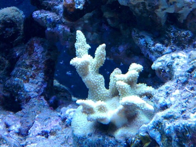 christophe_20111203231211-thumb.jpg