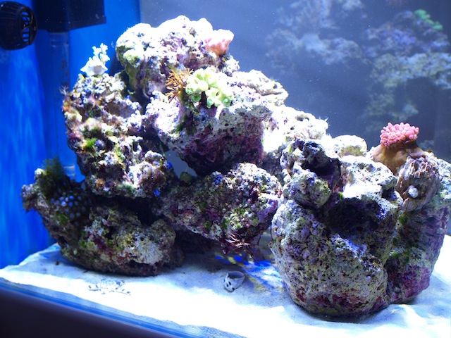 rafirafou_20120205224216.jpg