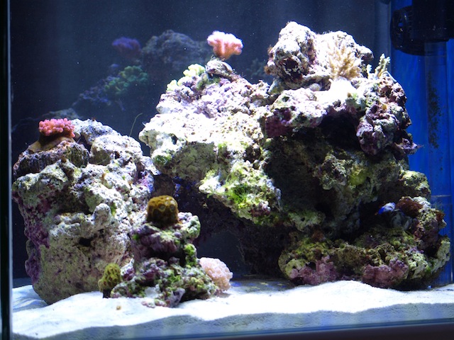 rafirafou_20120205224255.jpg