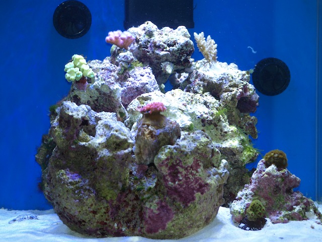 rafirafou_20120205224309.jpg