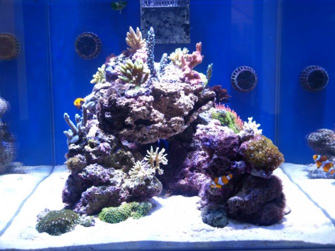 rafirafou_20120609191741-thumb.jpg
