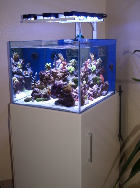 rafirafou_20120609192217.jpg