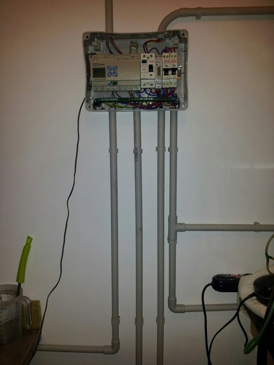 davidlallart_20130124105054.jpg