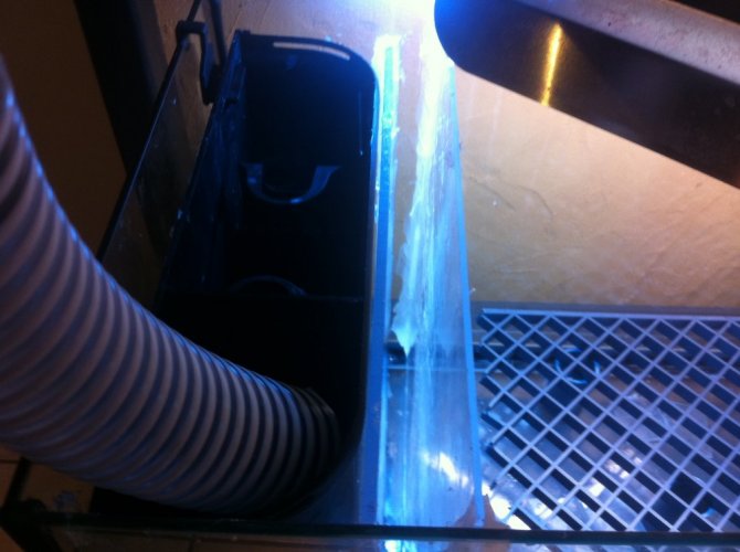 tobos_20121031001955-thumb.jpg