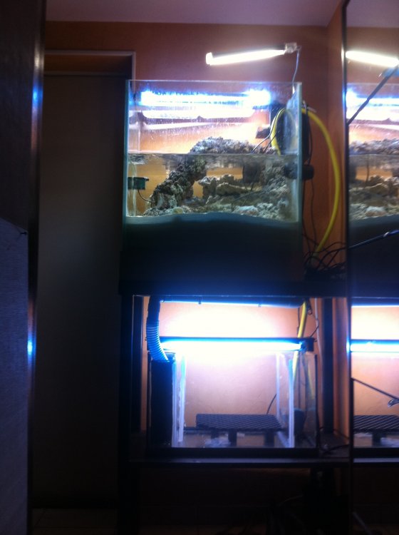 tobos_20121031002034.jpg