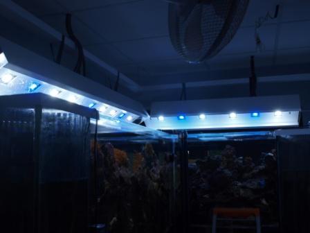 didier_20110627110240.jpg