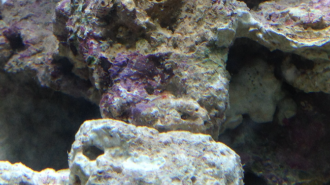 sebouuuh_20121120220905-thumb.png