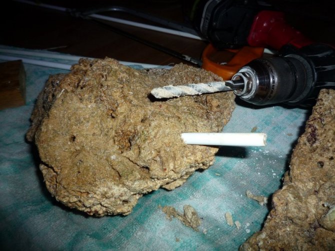 nonopp4_20110309224819-thumb.jpg