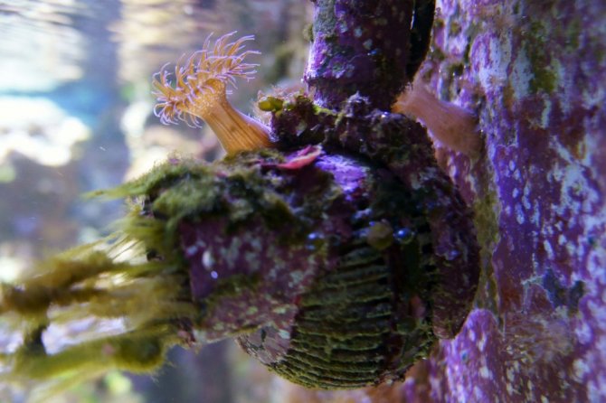 nonopp4_20120630105610.jpg