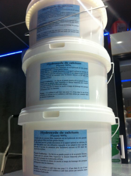 nonopp4_20121206164404.jpg