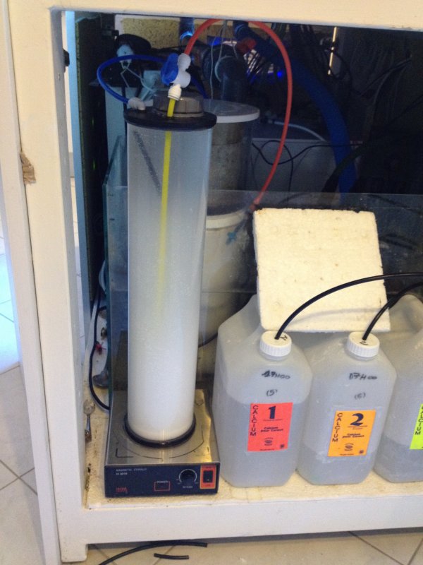 reefcalou_20111201172009.jpg