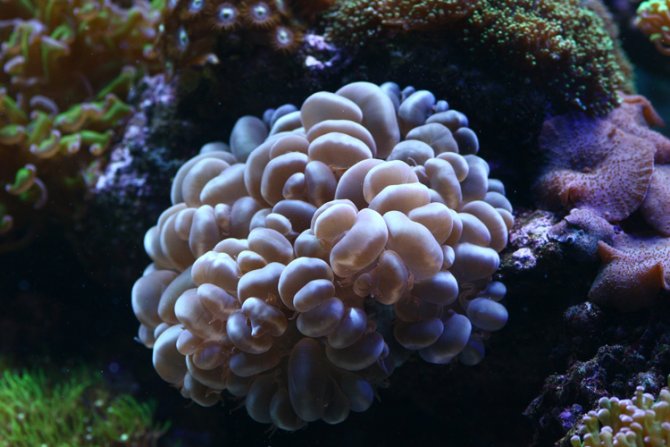 samuelguy_20120107112350-thumb.jpg
