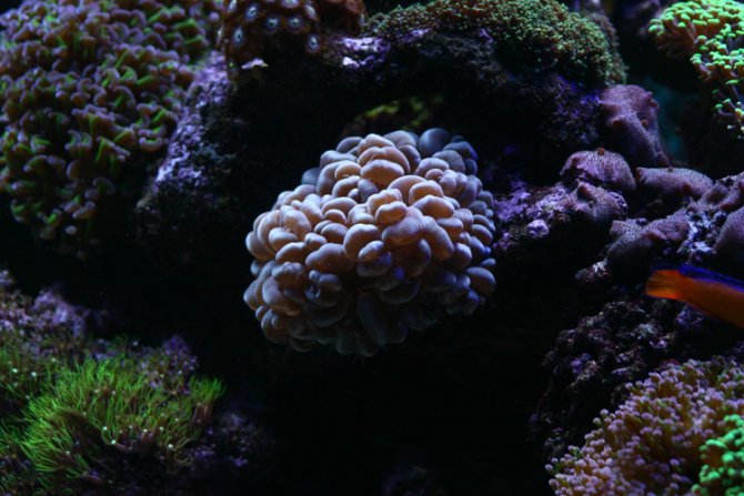 samuelguy_20120107154554-thumb.jpg