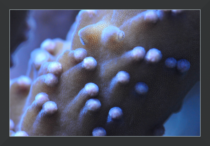 regisdoutres_20110917223551-thumb.png