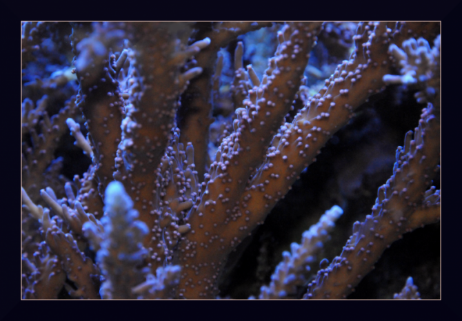 regisdoutres_20110919171449-thumb.png