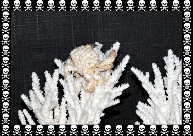 regisdoutres_20120108111443-thumb.jpg