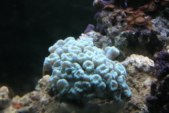 herve_20110624104221-thumb.jpg