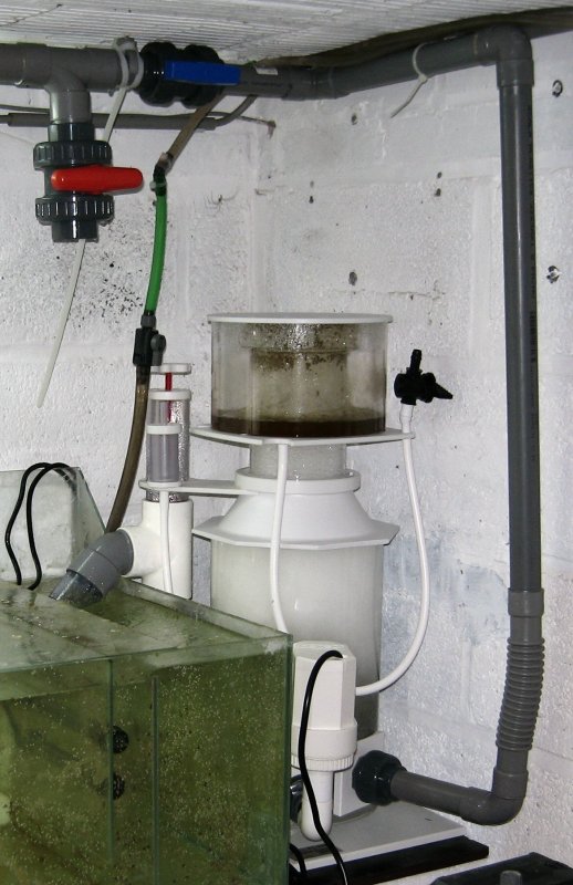 herve_20111211115327.jpg