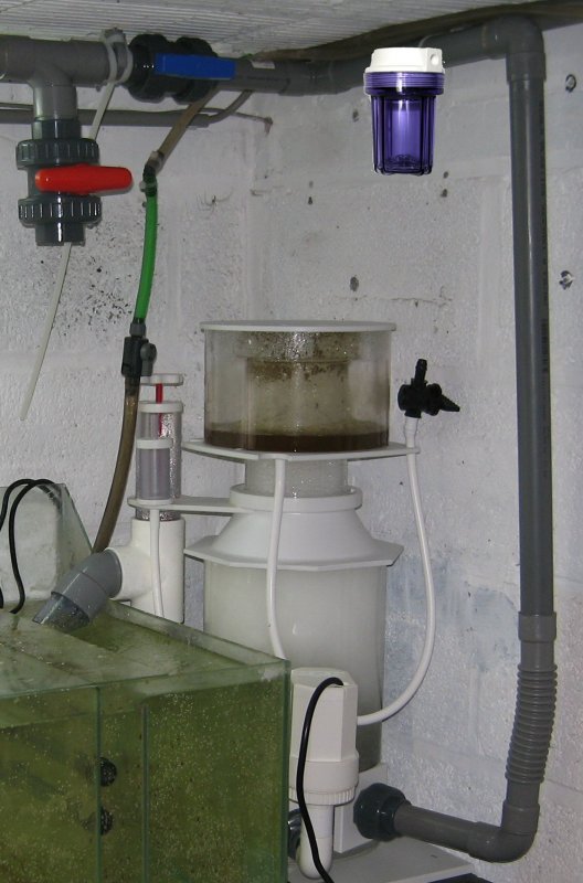 herve_20111212150817.jpg