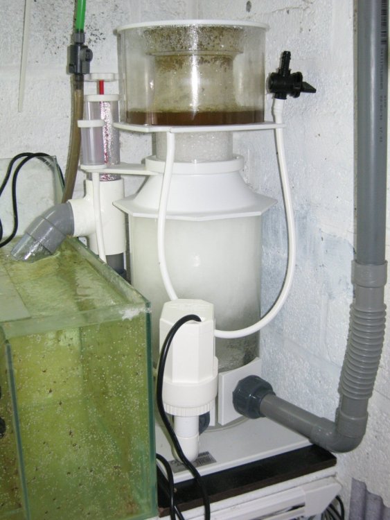 herve_20120123154637.jpg