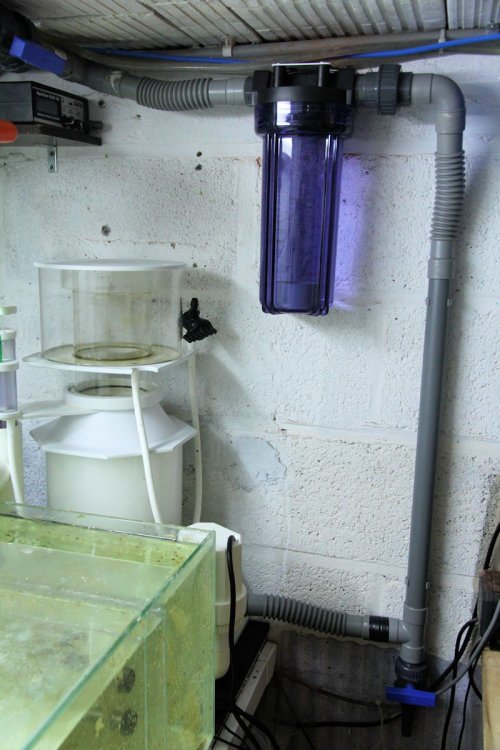 herve_20120504130635.jpg
