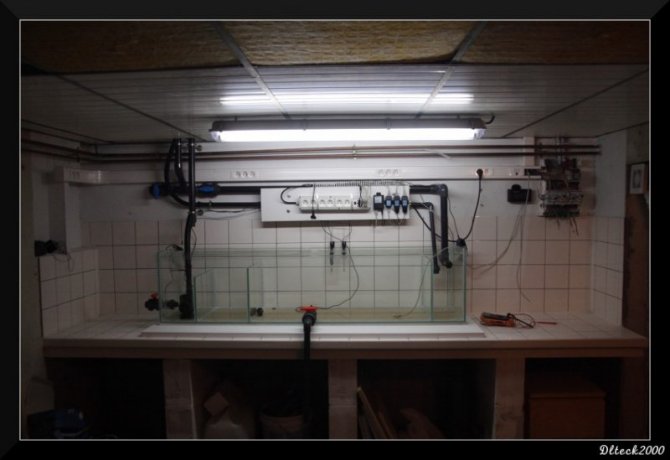 dlteck2000_20110824105343-thumb.jpg
