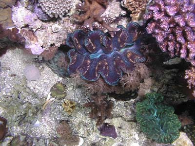 dlteck2000_20120430003842.jpg