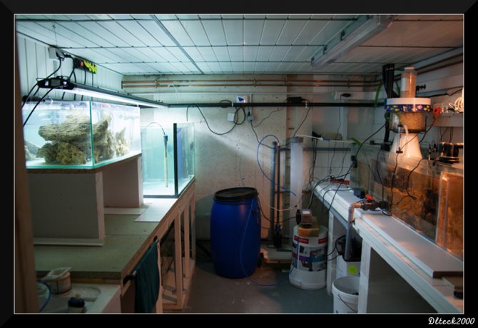 dlteck2000_20120711194504-thumb.jpg