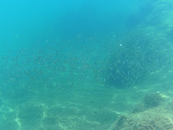 dlteck2000_20120923212054.jpg