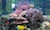 dlteck2000_20121018141415.jpg