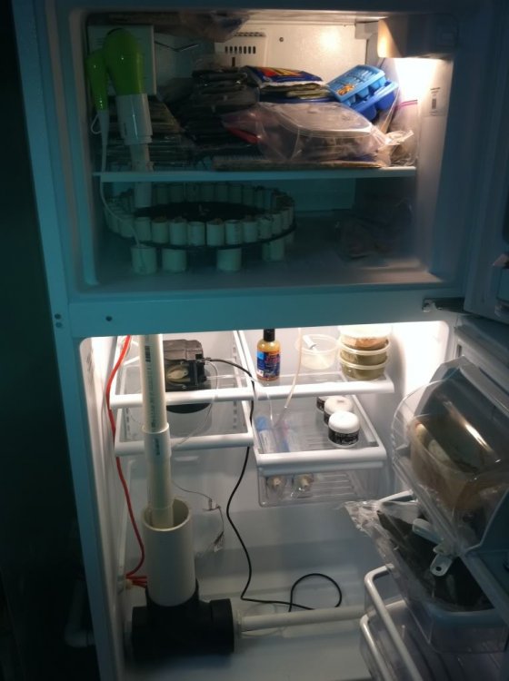 dlteck2000_20130311205757.jpg