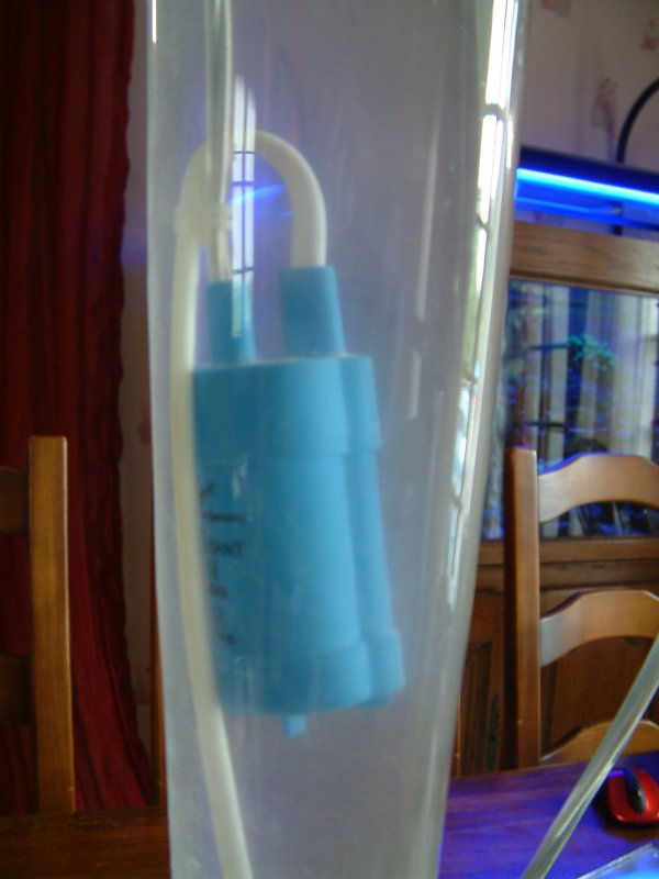 bubule_20111108182132.jpg