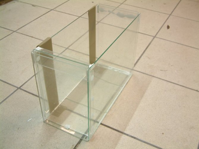 bubule_20111223165252-thumb.jpg