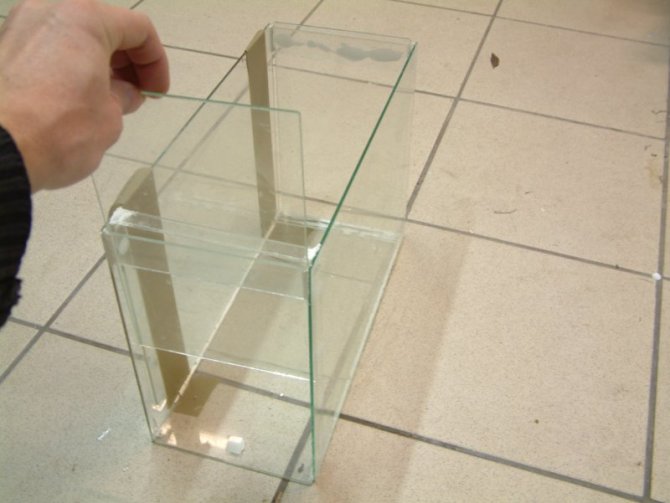 bubule_20111223165412-thumb.jpg