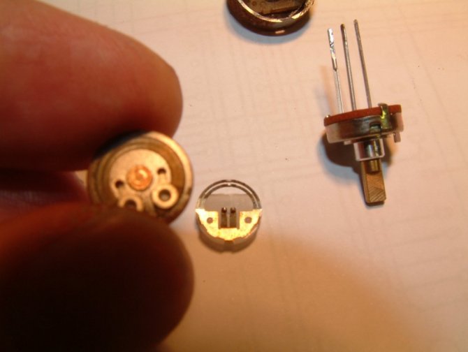bubule_20120210225256-thumb.jpg