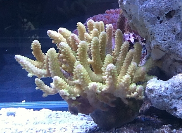 ray_20111122173551.jpg