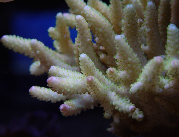 ray_20111122174040.jpg