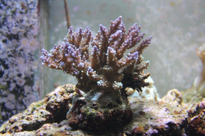 grekers_20110416082640-thumb.jpg