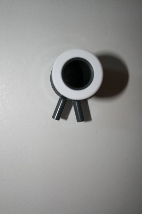 bruno30_20120901185232.jpg