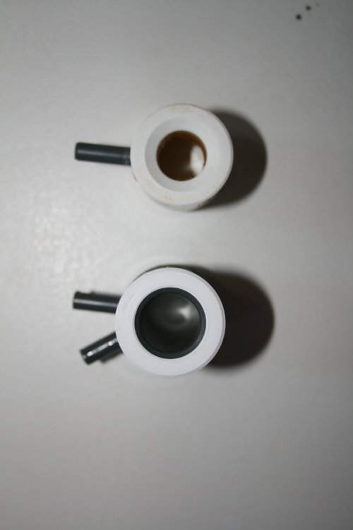 bruno30_20120901185422.jpg