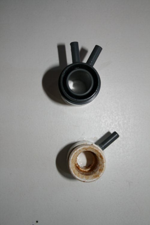 bruno30_20120901185507.jpg