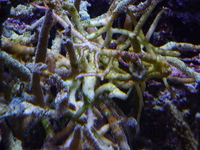 p1030292.jpg