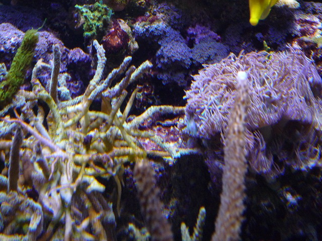 p1030305.jpg