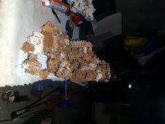 Préparation du décor