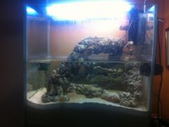 Ensemencement du sable