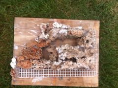 Préparation du décor suite...