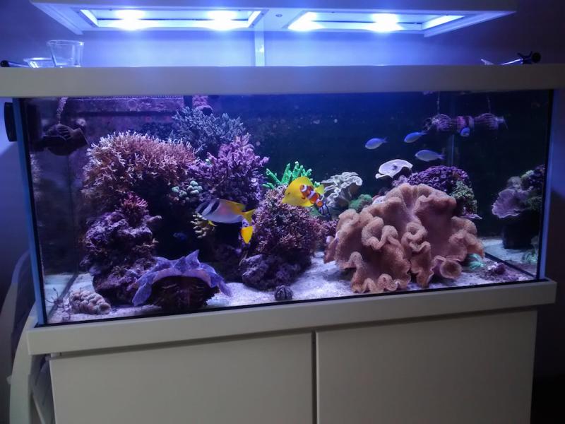 2015-02-17 14.43.48.jpg