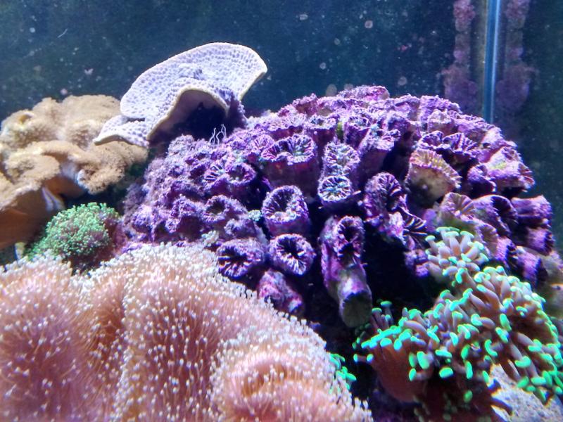 2015-02-17 22.11.08.jpg