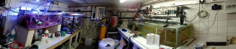 2015-02-17 14.46.21.jpg