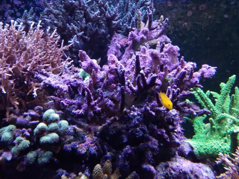 2015-02-17 22.10.35.jpg